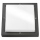 BASSI GRAPHITE/OPALE E27 référence 623180 de la marque SG