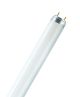  Image Tube fluo t8 36w840 active diam26  osram