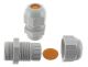  Image PE polyamide BASIC Pg 21 (13-18mm)