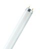  Image Lumilux t8 l 36w/840               osram