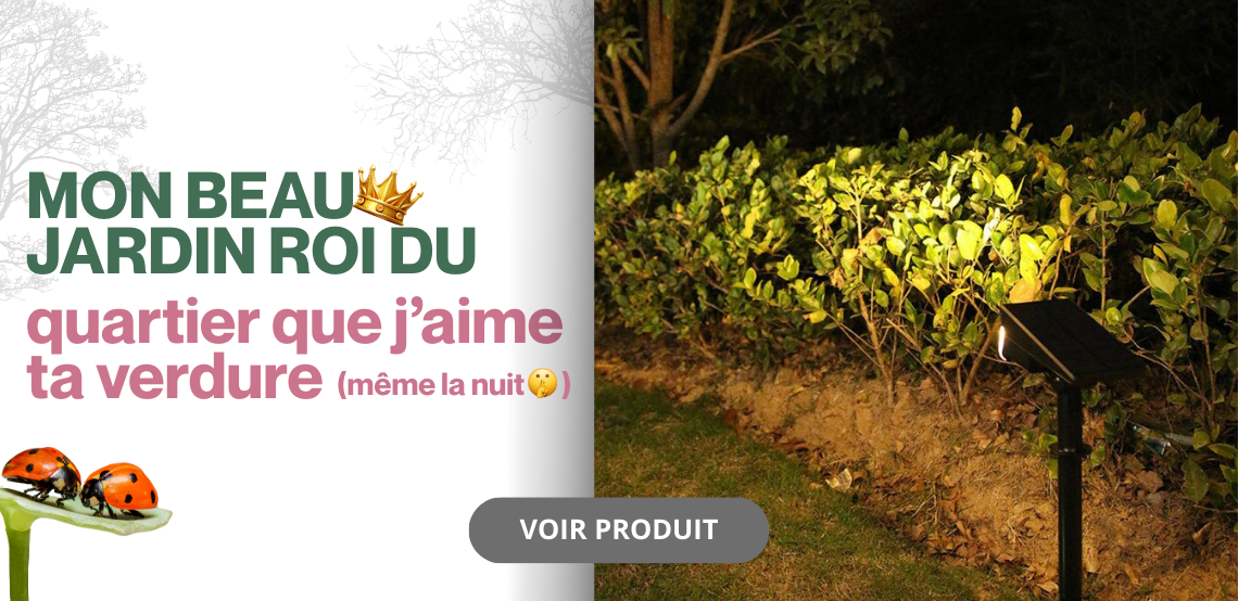 Le piquet solaire idéal pour un beau jardin par BF Light